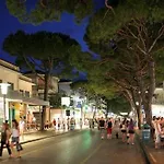 Design - New 2025 - Near The *